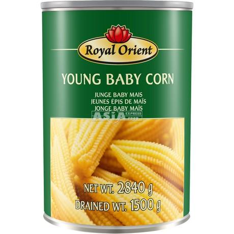 Young Baby Corn 100-150 Pcs.