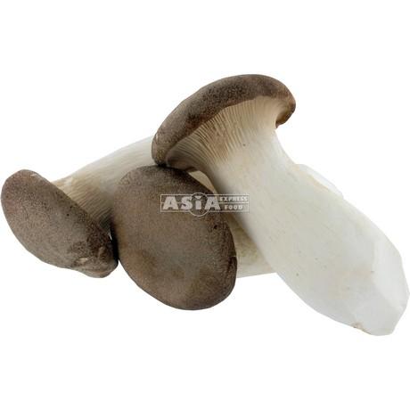 King Oyster (Eringii) Mushroom